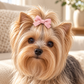 Activemere Pink Grosgrain-Style Bow Pet Hair Clip with Metal Alligator Clip