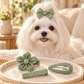 Activemere 4-Piece Sage Green Pet Hair Clip Set with Bow, Flower, Barrette & Oval Snap Clip