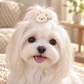 Activemere Cream Bear Face Pet Hair Clip with Silver-Tone Alligator-Style Clip