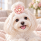 Activemere Pink Layered Flower Pet Hair Clip with Pearl-Look Center & Metal Alligator-Style Clip