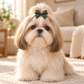 Activemere Green Star-Print Bow Pet Hair Clip with Metal Alligator-Style Clip